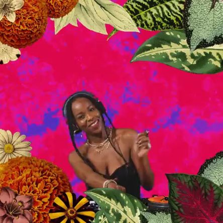 OK Bloomers visual pack