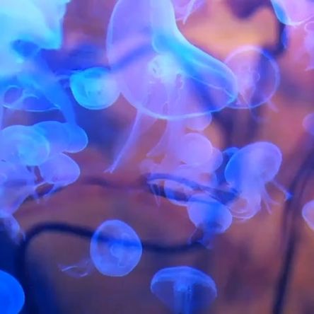 Environments Pack Vol. 1